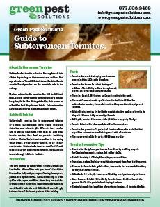 GPS-Termite-Guide-230x298