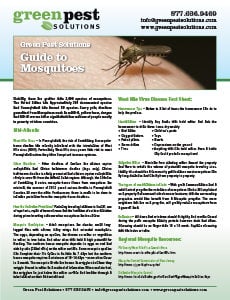 Green_Pest_Solutions_Mosquito_Guide-230x300