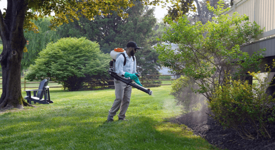 mosquito control services done near a pond