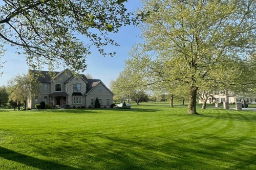 beautiful green lawn