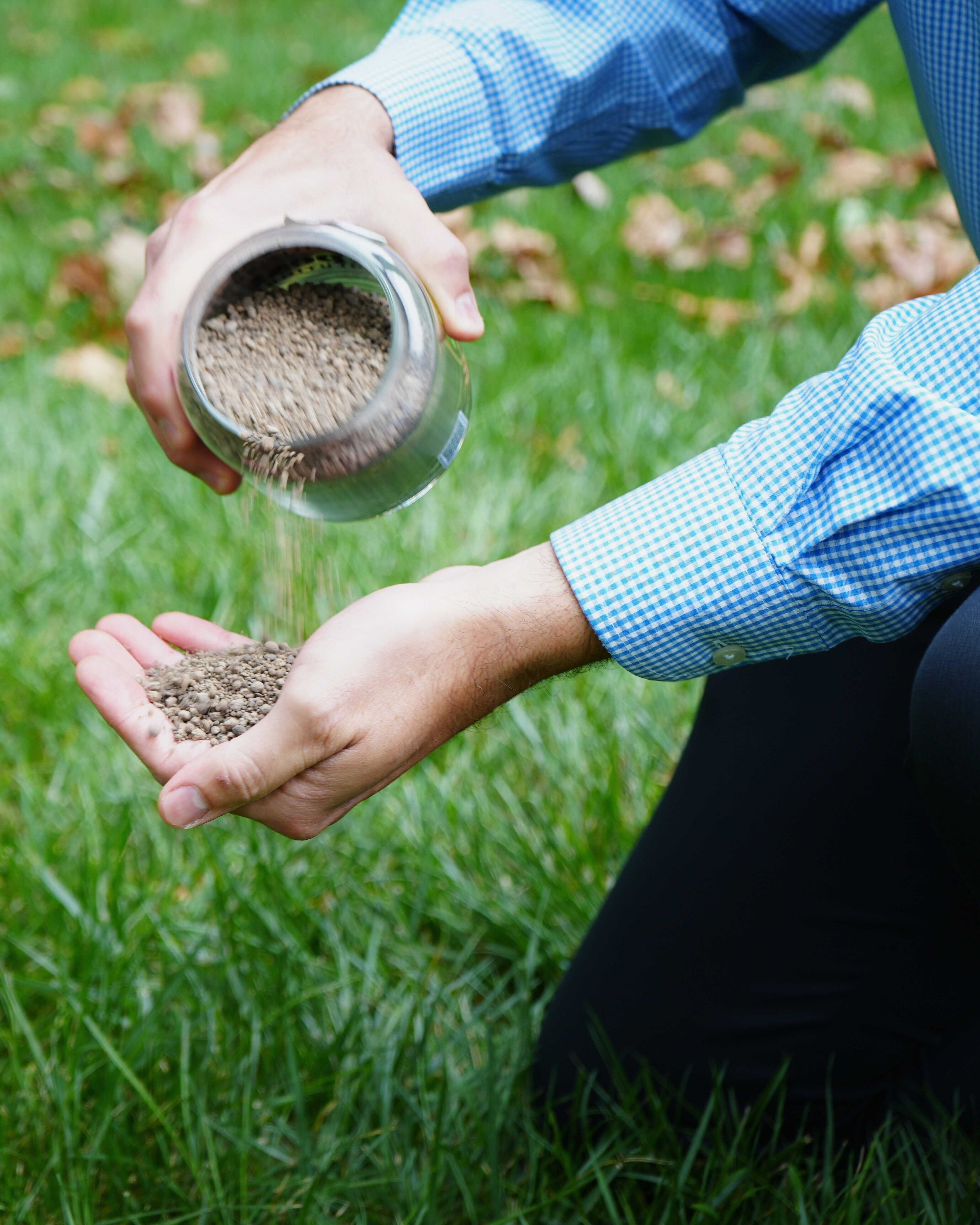 lawn technician pouring lime out of a glass jar