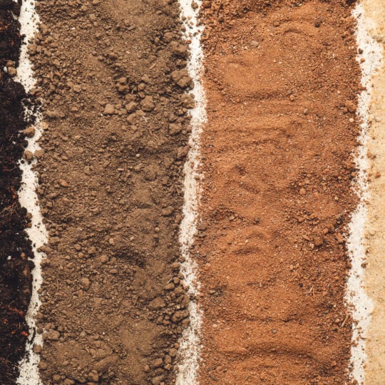 Brown Soil Brown Soil